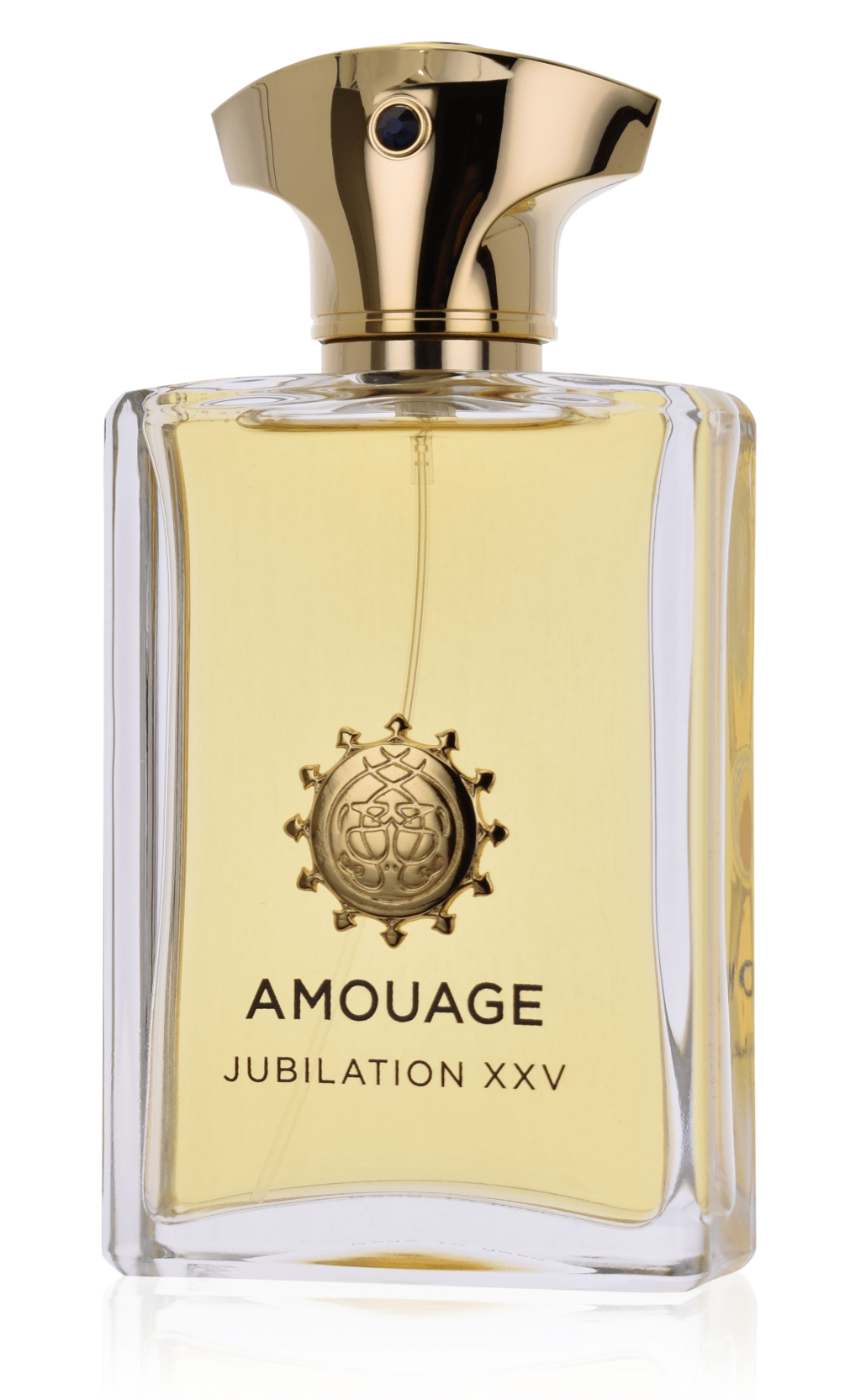Amouage Jubilation XXV Man 100 ml Eau de Parfum 