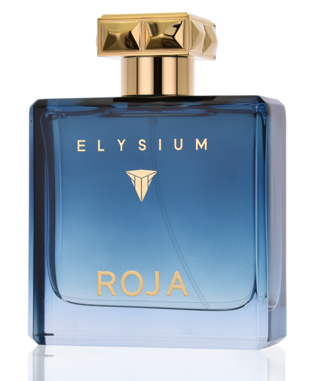 Roja Parfums Elysium pour Homme 100 ml Eau de Parfum  